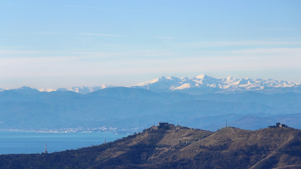 Alpesisa (GE)
